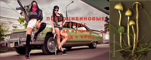 хмурый Кулебаки